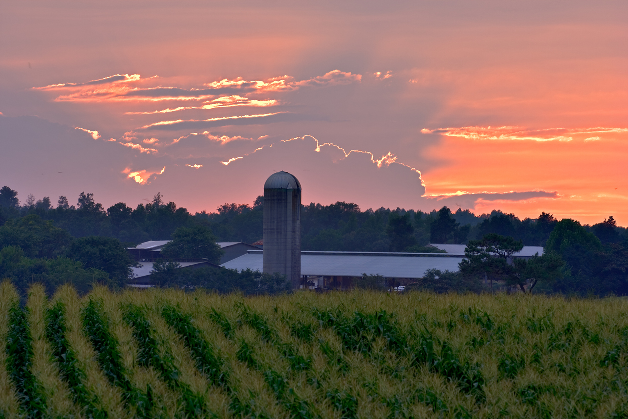 Panoramic Image of Wilson, NC